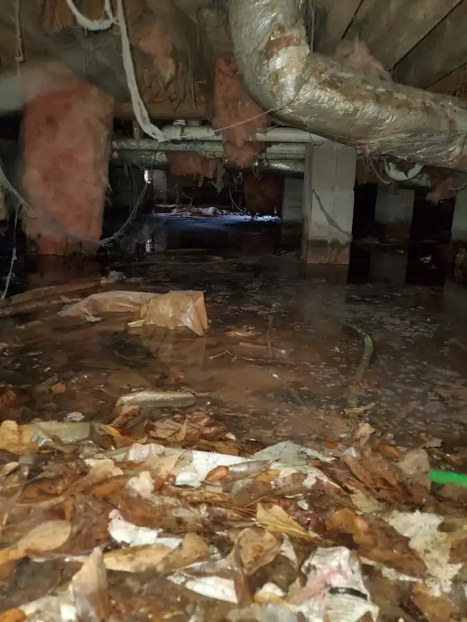 Crawl space flood assessment for Leak Detection & Repair in Delhi Hills