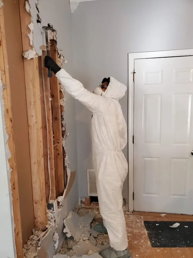 Basement Flood Cleanup in Delhi Hills, OH