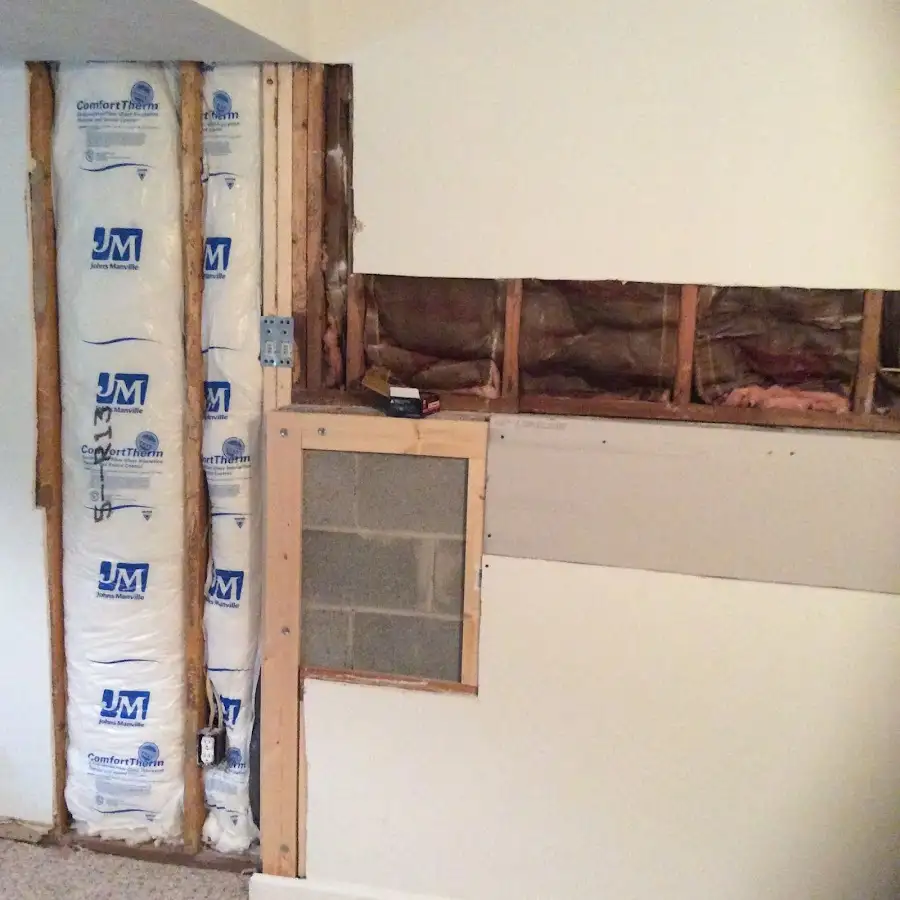 Wall insulation replacement during Basement Flood Cleanup in Delhi Hills